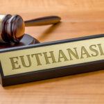 justice-euthanasie-shutterstock