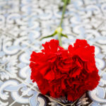 Red,Carnation,On,Portuguese,Tiles.,Portuguese,Revolution,And,April,25