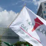 libres-drapeau-cal-leclercq-dr