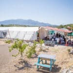 là-bas-ccac-samos-giacomo-sini